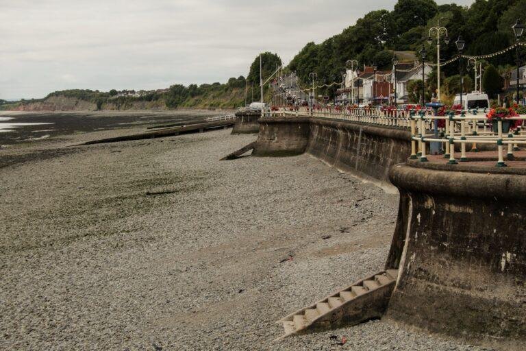 Dinosaur Footprints at Lavernock Yes, you read that right! Just a short walk along the coastal path from Penarth town centre, you'll find one of South Wales' quirkiest secrets: 200-million-year-old dinosaur footprints fossilised in the rocks. They're best viewed at low tide near Lavernock Point, a must-see for curious minds of all ages.