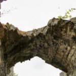 Barry Castle: A Hidden Medieval Treasure in the Vale of Glamorgan